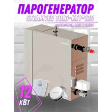 Steamtec TOLO KEY 120 - 12 кВт (ВЛАГОСТОЙКИЙ модуль управления), парогенератор для хамама и турецкой бани